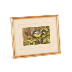 Neil Cox, A Bluetit On A Blackberry Branch, Watercolour