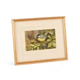 Neil Cox, A Bluetit On A Blackberry Branch, Watercolour