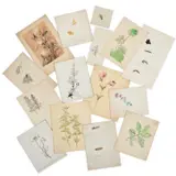 Eileen Soper, Fifteen Original Studies Of Flora And Fauna