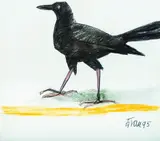 Enrique Grau, Pastel sobre papel, Pastel sobre papel