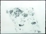 José Luis Cuevas, Dibujo a lápiz sobre papel, Dibujo a lápiz sobre papel