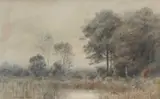 James Henry Moser, Woodland Scene, Watercolour on paper Image size: