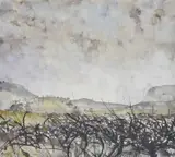 Alan Reynolds, 'Landscape With Thorn Hedge', watercolour 30cm x