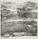 Salah El Meligy, Sparrow Nest - A Pair, etching on wove paper (i)