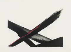 Toko Shinoda, Evolution, lithograph printed in colour