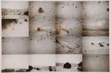 Kiki Smith, Untitled (Winterscape)