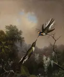 Martin Johnson Heade, Sun Gems –, Oil on canvas