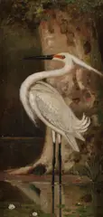 Robert Arthur Wilson, Reddish Egret, Oil on canvas