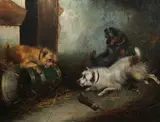 Frank Cassell, Terriers Ratting, Oil on canvas