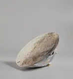 Taro Tabuchi, "Barbaric White", 2015, Wood-fired porcelain