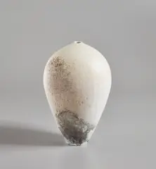 Taro Tabuchi, "Untitled", 2015, Wood-fired porcelain