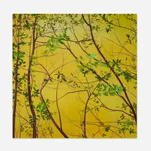 Astrid Preston, Through Branches, 2003, oil on canvas