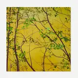 Astrid Preston, Through Branches, 2003, oil on canvas