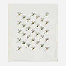 John Franklin, Swarm, 1990, screenprint with hand-coloring on Arches 88