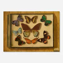 Charles Cerny, Trompe-l'oeil of a Butterfly Specimen Diorama Hanging from a Wood Plank Wall, 1960, oil on linen