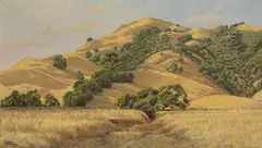 Jack Wisby, Marin hills, oil on canvas affixed to board