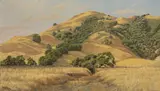Jack Wisby, Marin hills, oil on canvas affixed to board