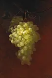 Carducius Plantagenet Ream, Bunches of green and purple grapes hanging on a vine (a pair)