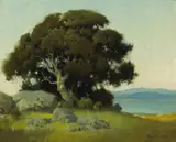 Percy Gray, Oak tree, oil on canvas