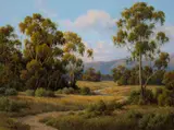 David Chapple, California eucalyptus