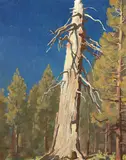 Maynard Dixon, Fallen Leaf