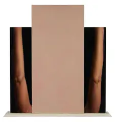Lori's Arms by Dan Witz, 1986, oil and acrylic on canvas with painted wood shelf, offered May 2010