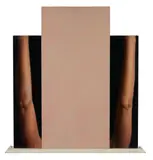 Dan Witz, Lori's Arms, 1986, oil and acrylic on canvas with painted wood shelf