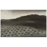 Luis Nishizawa, Untitled