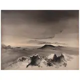 Luis Nishizawa, Untitled