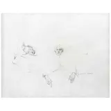 Rafael Coronel, Untitled, Lápiz de grafito sobre papel