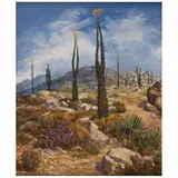 Jaime Gómez del Payán, Desierto de Calaviña B.C.S