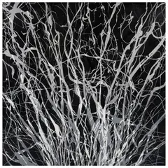 Mario Varguéz, Glamoor negro, 2009, Mixta sobre tela