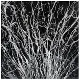Mario Varguéz, Glamoor negro, 2009, Mixta sobre tela
