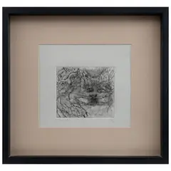 Untitled by Francisco Toledo, Grabado al aguafuerte 15 / 20, offered Sep 2026