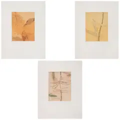 A) Quién por el aire, B) No y C) Quién por la tierra by Magali Lara, Grabado al aguafuerte y aguatinta 21 / 30, sold Aug 2026