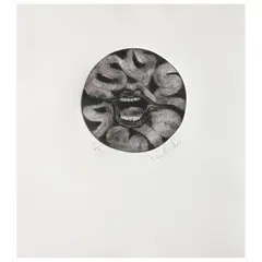 Untitled by Francisco Toledo, Grabado al aguafuerte y aguatinta 3 / 10, sold Aug 2026