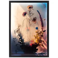 Fernando Penhos, Love untitled (Canto 13), Fotografía digital con caja de luz