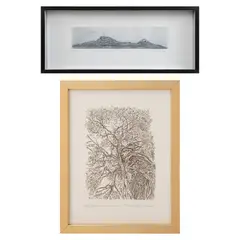 Nicolás Moreno, A) Los volcanes, B) Amante en las rocas, C) Mazorcas moradas y D) Sin título, Grabados a la punta seca 59 / 100, 17 / 50, 46 / 50 y 50 / 70