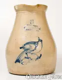 New York Stoneware Co., Extremely Rare NEW YORK STONEWARE CO / FORT EDWARD, N.Y. Three-Gallon Bird Pitcher