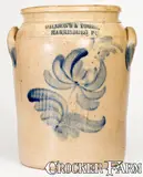 Willson's & Young, Very Rare WILLSON'S & YOUNG / HARRISBURG, PA Stoneware Jar, circa 1855, Stoneware