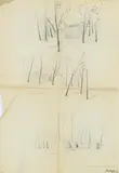 Arne Jacobsen, Architectural drawing, Pencil on paper