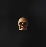Steffen Jørgensen, Skull”, 1973. Signed on the back Steffen Jørgensen with title and date, 1973, Oil on canvas