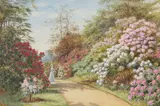 Marian Emma Chase, Rhododendron Walk, Watercolour