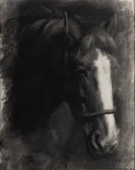 Lucy Kemp-Welch, Horse Portrait, 1919, Charcoal