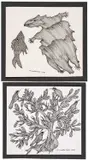 Jangarh Singh Shyam Indian, Untitled, ink on paper