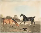 Benjamin Marshall, Hunters At Grass, engraving printed in colours