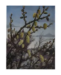 Christopher Richard Wynne Nevinson Ara, Pussywillow, oil on canvas