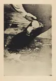 Joseph Beuys, aus Eurasienstab, Serigrafie auf Zeitungspapier