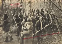 Rettet den Wald by Joseph Beuys, Offset auf Papier, sold Jun 2016