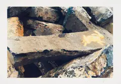 Aus: "7000 Eichen" by Joseph Beuys, Farboffset auf Karton, sold Jun 2016